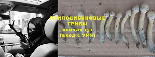 спиды Бронницы