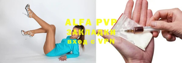 прущие грибы Бугульма