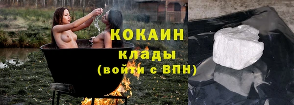 прущие грибы Бугульма